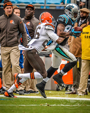 NFL (Browns & Panthers)