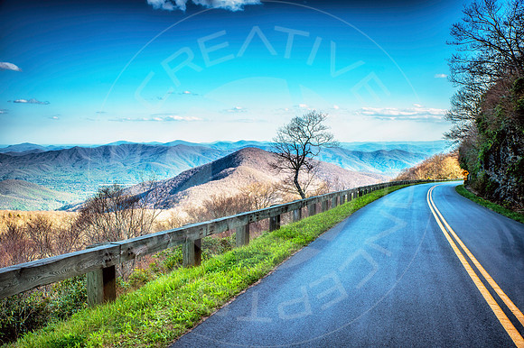 NC_BlueridgePkwy_Tree