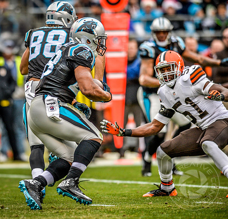 NFL (Browns & Panthers)