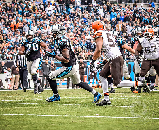 NFL (Browns & Panthers)